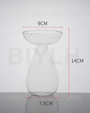 Vaso de Vidro Hidropônico para Cultivo de Abacate