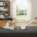 Adeus Pelos Difíceis de Tirar! Escova Removedora para Cães e Gatos Perfeita para Roupas e Estofados